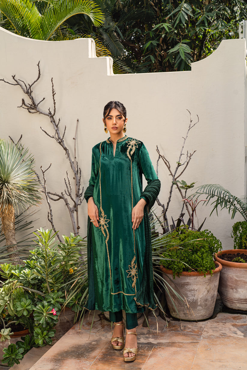 PEHRWAAS | DREAM | SHIRT + PANTS + DUPATTA | VELVET | SMALL
