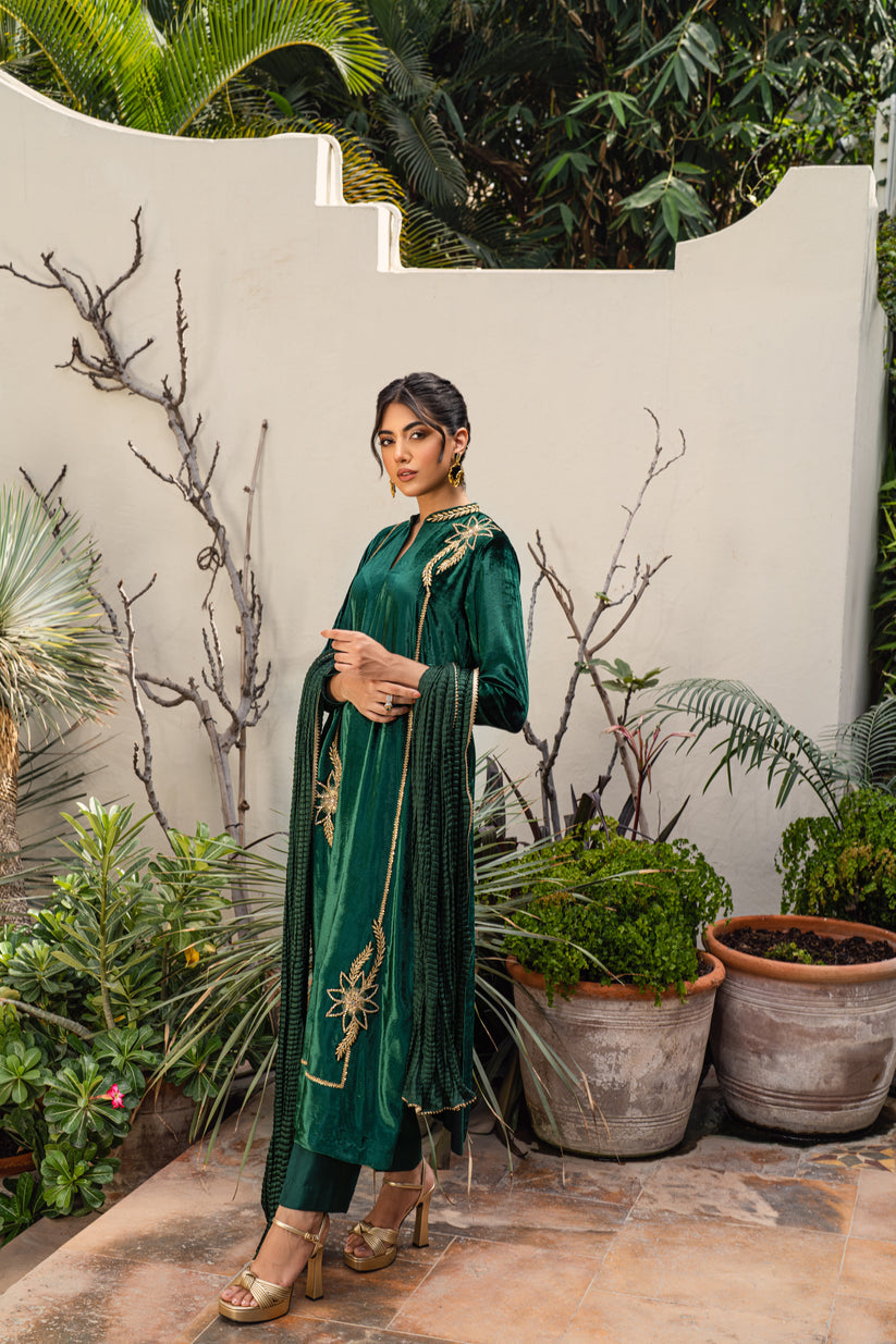 PEHRWAAS | DREAM | SHIRT + PANTS + DUPATTA | VELVET | SMALL