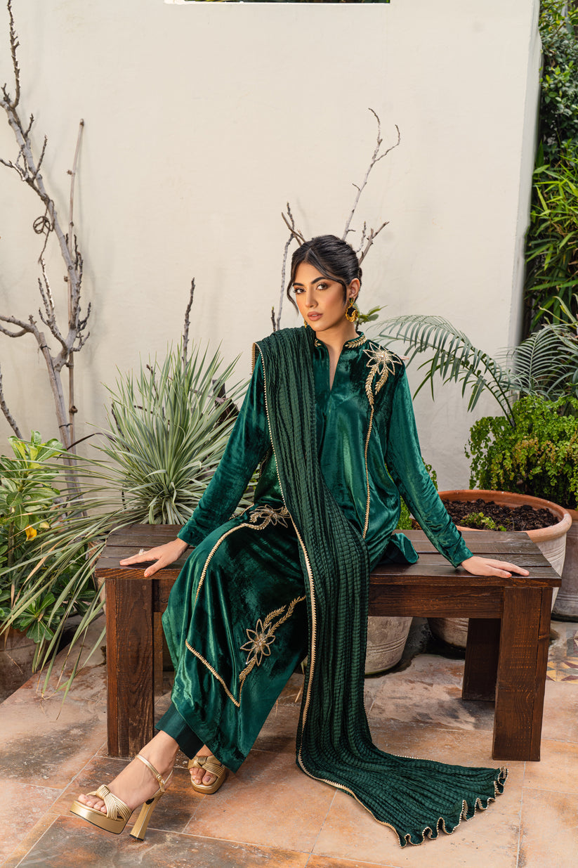 PEHRWAAS | DREAM | SHIRT + PANTS + DUPATTA | VELVET | SMALL